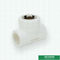 उपलब्ध टेकनीक सफेद पीपीआर पाइप सहायक उपकरण फिटिंग महिला पिरोया टी आकार Iso9001