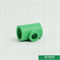 कास्टिंग पाइप पाइप फिटिंग ग्रीन रंग, Iso9001 Ce अनुमोदन Ppr को कम करने टी