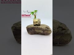 पाइपलाइन महिला कपलिंग PEX ब्रास फिटिंग SS ट्यूब के लिए