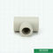 कास्टिंग पाइप पाइप फिटिंग ग्रीन रंग, Iso9001 2005 अनुमोदन Ppr को कम करने टी